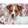 Картина за номерами Миловидний пес  30Х40 (SS-1309)