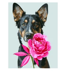 Картина по номерам Пес с пионом  30Х40 (SS-1310) купить в интернет магазине подарков ПраздникШоп