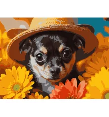 Картина по номерам Пес в соломенной шляпе  30Х40 (SS-1311) купить в интернет магазине подарков ПраздникШоп