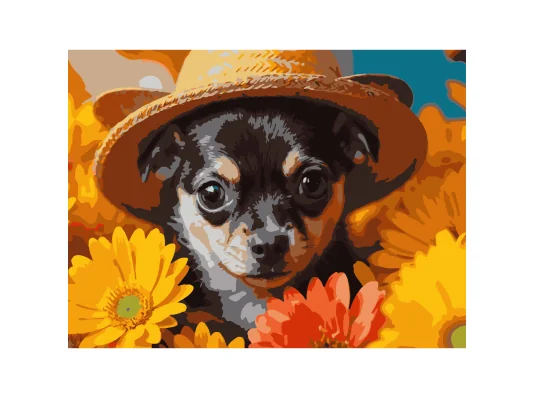Картина по номерам Пес в соломенной шляпе  30Х40 (SS-1311) купить в интернет магазине подарков ПраздникШоп