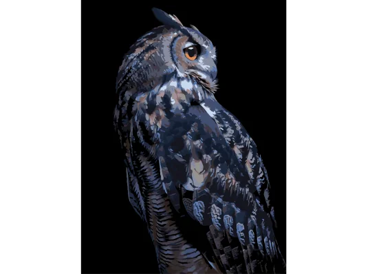 Картина по номерам Ночная сова на черном фоне 30Х40 (FH-24) купить в интернет магазине подарков ПраздникШоп