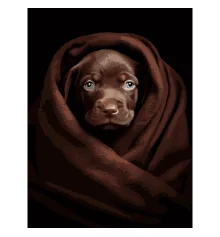 Картина по номерам Песик в плоде на черном фоне 30Х40 (FH-26) купить в интернет магазине подарков ПраздникШоп