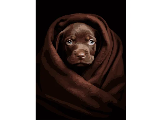 Картина по номерам Песик в плоде на черном фоне 30Х40 (FH-26) купить в интернет магазине подарков ПраздникШоп