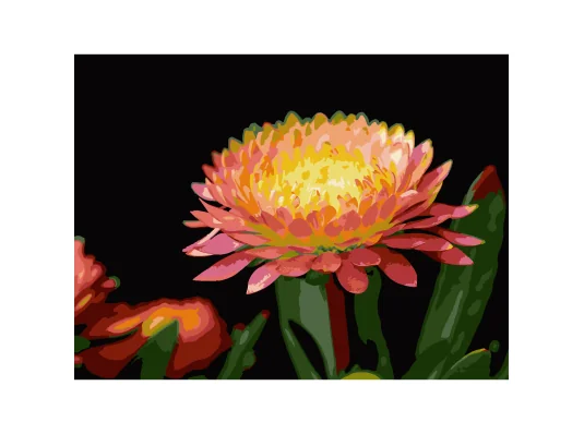 Картина по номерам Цветок герберы на черном фоне 30Х40 (FH-28) купить в интернет магазине подарков ПраздникШоп