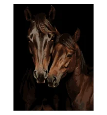 Картина по номерам Конская пара на черном фоне 30Х40 (FH-29) купить в интернет магазине подарков ПраздникШоп