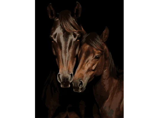 Картина по номерам Конская пара на черном фоне 30Х40 (FH-29) купить в интернет магазине подарков ПраздникШоп