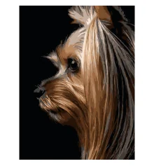 Картина по номерам Йоркширский терьер на черном фоне 30Х40 (FH-33) купить в интернет магазине подарков ПраздникШоп