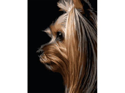 Картина по номерам Йоркширский терьер на черном фоне 30Х40 (FH-33) купить в интернет магазине подарков ПраздникШоп