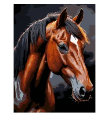 Картина по номерам Коричневый конь на черном фоне 30Х40 (FH-39) купить в интернет магазине подарков ПраздникШоп