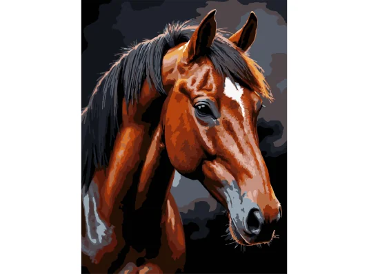 Картина по номерам Коричневый конь на черном фоне 30Х40 (FH-39) купить в интернет магазине подарков ПраздникШоп
