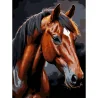 Картина за номерами Коричневий кінь на чорному фоні 30Х40 (FH-39)