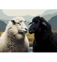 Картина по номерам Пара овцов на черном фоне 30Х40 (FH-40) купить в интернет магазине подарков ПраздникШоп