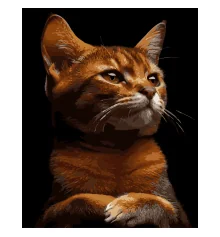 Картина по номерам Рыжий характер на черном фоне 40Х50 (AH1244) купить в интернет магазине подарков ПраздникШоп