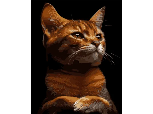 Картина по номерам Рыжий характер на черном фоне 40Х50 (AH1244) купить в интернет магазине подарков ПраздникШоп