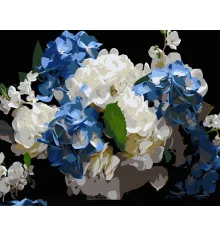 Картина по номерам Голубовато-белые гортензии на черном фоне 40Х50 (AH1247) купить в интернет магазине подарков ПраздникШоп