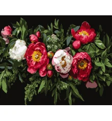 Картина по номерам Цветочная композиция на черном фоне 40Х50 (AH1249) купить в интернет магазине подарков ПраздникШоп