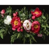 Картина по номерам Цветочная композиция на черном фоне 40Х50 (AH1249)