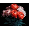 Картина за номерами Червоні ранункулюси на чорному фоні 40Х50 (AH1250)
