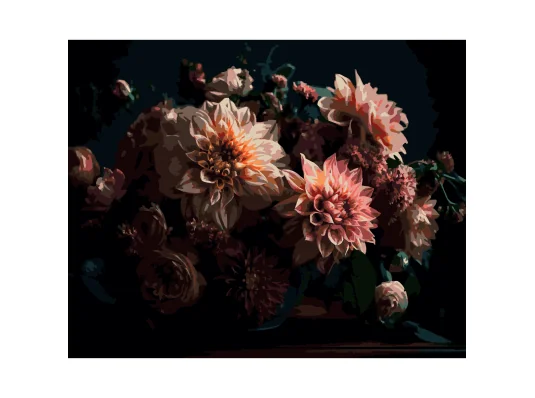 Картина по номерам Розовые георгины на черном фоне 40Х50 (AH1252) купить в интернет магазине подарков ПраздникШоп