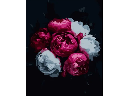 Картина по номерам Розово-белые цветы на черном фоне 40Х50 (AH1254) купить в интернет магазине подарков ПраздникШоп