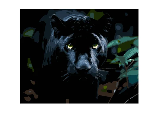 Картина по номерам Взгляд пантеры на черном фоне 40Х50 (AH1258) купить в интернет магазине подарков ПраздникШоп