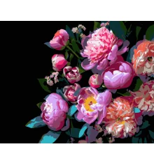 Картина по номерам Пионообразные цветы на черном фоне 40Х50 (AH1259) купить в интернет магазине подарков ПраздникШоп