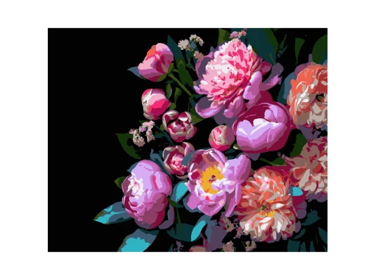 Картина по номерам Пионообразные цветы на черном фоне 40Х50 (AH1259) купить в интернет магазине подарков ПраздникШоп