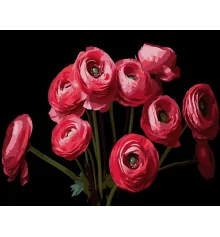 Картина по номерам Букет ранункулюсов на черном фоне 40Х50 (AH1260) купить в интернет магазине подарков ПраздникШоп