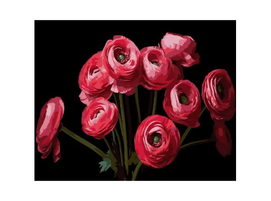 Картина по номерам Букет ранункулюсов на черном фоне 40Х50 (AH1260) купить в интернет магазине подарков ПраздникШоп