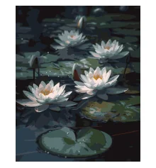 Картина по номерам Водяные лилии на черном фоне 40Х50 (AH1263) купить в интернет магазине подарков ПраздникШоп