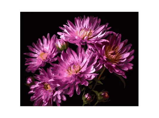 Картина по номерам Бархат георгин на черном фоне 40Х50 (AH1267) купить в интернет магазине подарков ПраздникШоп