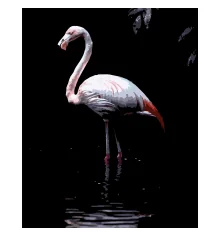 Картина по номерам Фламинго в воде на черном фоне 40Х50 (AH1268) купить в интернет магазине подарков ПраздникШоп