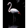 Картина за номерами Фламінго у воді на чорному фоні 40Х50 (AH1268)