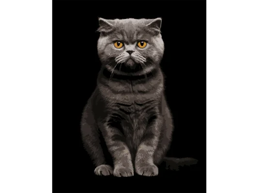 Картина по номерам Серый аристократ на черном фоне 40Х50 (AH1272) купить в интернет магазине подарков ПраздникШоп