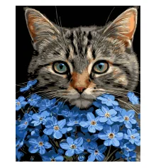 Картина по номерам Кот среди голубых цветов на черном фоне 40Х50 (AH1273) купить в интернет магазине подарков ПраздникШоп