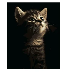 Картина по номерам Маленький котенок на черном фоне 40Х50 (AH1276) купить в интернет магазине подарков ПраздникШоп