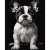 Картина за номерами Маленький пес на чорному фоні 40Х50 (AH1277)