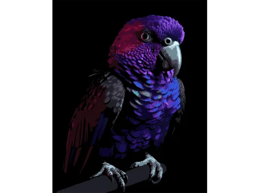 Картина по номерам Яркий попугай на черном фоне 40Х50 (AH1281) купить в интернет магазине подарков ПраздникШоп