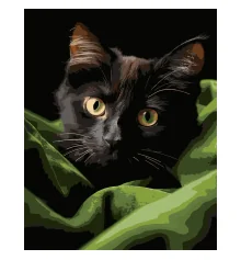 Картина по номерам Черный маленький котенок на черном фоне 40Х50 (AH1282) купить в интернет магазине подарков ПраздникШоп