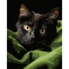 Картина за номерами Чорне маленьке кошеня на чорному фоні 40Х50 (AH1282)