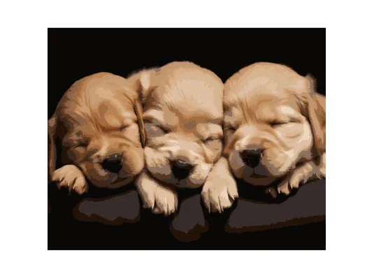 Картина по номерам Спящие собачки на черном фоне 40Х50 (AH1283) купить в интернет магазине подарков ПраздникШоп