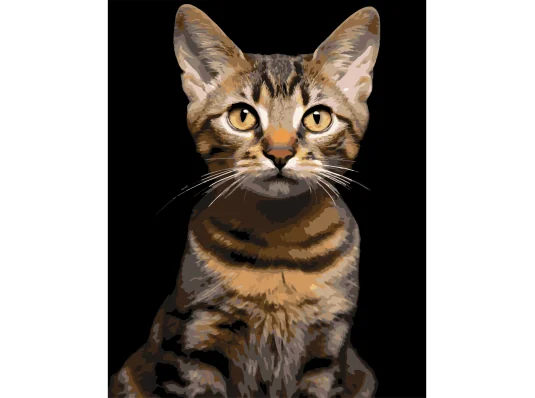 Картина по номерам Полосатый кот на черном фоне 40Х50 (AH1284) купить в интернет магазине подарков ПраздникШоп