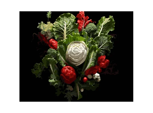 Картина по номерам Овощная композиция на черном фоне 40Х50 (AH1285) купить в интернет магазине подарков ПраздникШоп