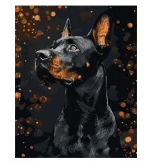 Картина по номерам Доберман на черном фоне 40Х50 (AH1286) купить в интернет магазине подарков ПраздникШоп