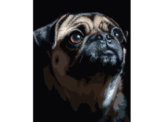 Картина по номерам Портрет мопса на черном фоне 40Х50 (AH1290) купить в интернет магазине подарков ПраздникШоп