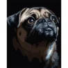 Картина по номерам Портрет мопса на черном фоне 40Х50 (AH1290)