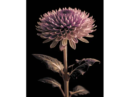 Картина по номерам Джорджина на черном фоне 40Х50 (AH1291) купить в интернет магазине подарков ПраздникШоп