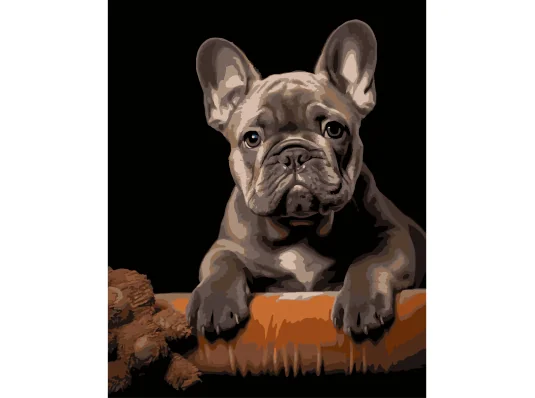 Картина по номерам Французский бульдог на черном фоне 40Х50 (AH1293) купить в интернет магазине подарков ПраздникШоп