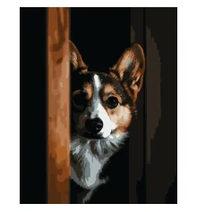 Картина по номерам Корги на черном фоне 40Х50 (AH1294) купить в интернет магазине подарков ПраздникШоп