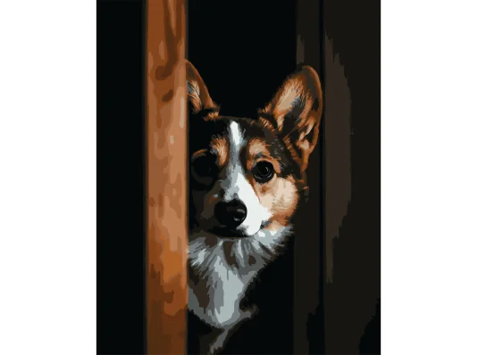 Картина по номерам Корги на черном фоне 40Х50 (AH1294) купить в интернет магазине подарков ПраздникШоп